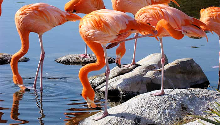 Descubre los mejores lugares y actividades en Pétrola