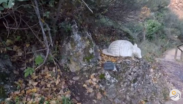 Descubre los mejores planes en Bogarra