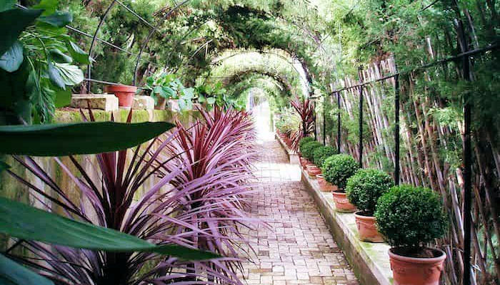 Descubre los secretos de Penàguila